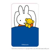 ミッフィー まじかる百貨店クリアカード(1) | BACKYARD FAMILY | 詳細画像2