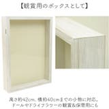 フロントオープンBOX A3 | BACKYARD FAMILY | 詳細画像6