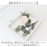 フロントオープンBOX A4 | BACKYARD FAMILY | 詳細画像6 