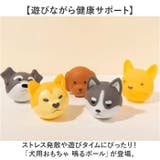 犬用おもちゃ 鳴るボール | BACKYARD FAMILY | 詳細画像2