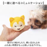 犬用おもちゃ 鳴るボール | BACKYARD FAMILY | 詳細画像4