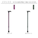 オッセンベルグ OSシリーズ T字型杖 | BACKYARD FAMILY | 詳細画像11 