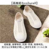 ccilu ABEL ZIV2 ZORA2 | BACKYARD FAMILY | 詳細画像12 