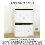 ぬいぐるみストレージBOX ハーフサイズ | BACKYARD FAMILY | 詳細画像3