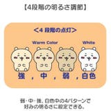 ちいかわオイテミルライト | BACKYARD FAMILY | 詳細画像3 