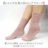 エステソックス | BACKYARD FAMILY | 詳細画像2 