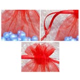 オーガンジー巾着袋 100枚セット | BACKYARD FAMILY | 詳細画像7 