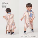 DRKO ストライプハーフパンツ | BACKYARD FAMILY | 詳細画像2 