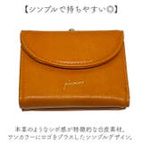 Pisoraro ピソラロ がま口ミニウォレット | BACKYARD FAMILY | 詳細画像3