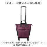 cocoro コ・コロ 2WAY4輪カート | BACKYARD FAMILY | 詳細画像2 