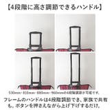 cocoro コ・コロ 2WAY4輪カート | BACKYARD FAMILY | 詳細画像11 