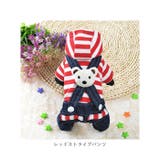 重ね着風犬猫用洋服 cw20 | BACKYARD FAMILY | 詳細画像15 