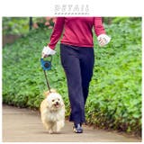 犬伸縮リード cyg001 | BACKYARD FAMILY | 詳細画像2