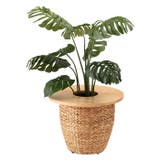 プランターテーブル | BACKYARD FAMILY | 詳細画像10 