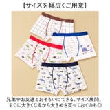 男の子 ボクサーパンツ コットン | BACKYARD FAMILY | 詳細画像7 