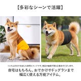 ペット 介護 マナーパンツ | BACKYARD FAMILY | 詳細画像6 
