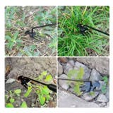 根こそぎ除草ツール | BACKYARD FAMILY | 詳細画像9 