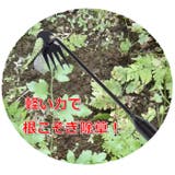 根こそぎ除草ツール | BACKYARD FAMILY | 詳細画像10 