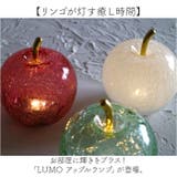 LUMO アップルランプ | BACKYARD FAMILY | 詳細画像2 