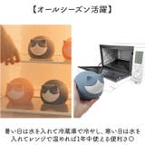 湯たんぽ 氷のう 防寒グッズ 暑さ対策 | BACKYARD FAMILY | 詳細画像3