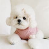 ペット 犬服 秋冬春 ハート 可愛い | BACKYARD FAMILY | 詳細画像9