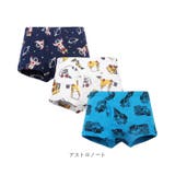 男の子ボクサーパンツ h288 | BACKYARD FAMILY | 詳細画像12 