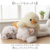 ペンポーチ | BACKYARD FAMILY | 詳細画像3 