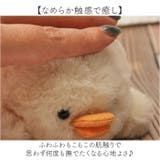 ペンポーチ | BACKYARD FAMILY | 詳細画像4 