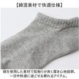 FRUIT OF THE LOOM クオーター丈ベーシックソックス3足セット | BACKYARD FAMILY | 詳細画像7 