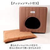 FLUFFY ペットハウス | BACKYARD FAMILY | 詳細画像5 