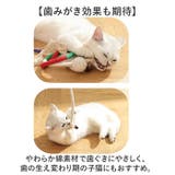 猫おもちゃ 噛むおもちゃ 猫用ロープ 2本セット | BACKYARD FAMILY | 詳細画像4 