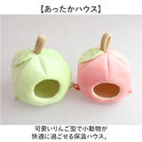 ハムスター ハウス フクロモモンガ | BACKYARD FAMILY | 詳細画像2 