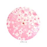 和傘 撮影用 和柄 | BACKYARD FAMILY | 詳細画像13 