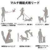 犬用リード ショルダーリード ウエストリード 大型犬 中型犬 | BACKYARD FAMILY | 詳細画像13