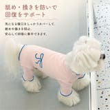 術後服 犬 女の子 小型犬 やわらか | BACKYARD FAMILY | 詳細画像4