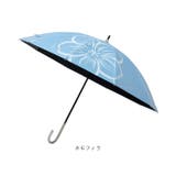 mabu マブ フラワーショート 親骨50cm 10本骨 | BACKYARD FAMILY | 詳細画像14 