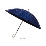 mabu マブ フラワーショート 親骨50cm 10本骨 | BACKYARD FAMILY | 詳細画像15 