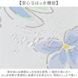 ワールドパーティー W.P.C 長傘 58cm | BACKYARD FAMILY | 詳細画像5 