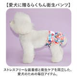 ペット 犬 マナーパンツ サニタリーパンツ かわいい | BACKYARD FAMILY | 詳細画像2