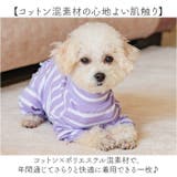 術後服 犬 ストライプ ボーダー 春夏秋冬 背中開き | BACKYARD FAMILY | 詳細画像11