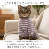 術後服 犬 ストライプ ボーダー 春夏秋冬 背中開き | BACKYARD FAMILY | 詳細画像12