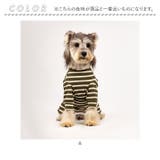 術後服 犬 ストライプ ボーダー 春夏秋冬 背中開き | BACKYARD FAMILY | 詳細画像14