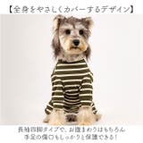 術後服 犬 ストライプ ボーダー 春夏秋冬 背中開き | BACKYARD FAMILY | 詳細画像10