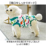 術後服 犬 ストライプ ボーダー 春夏秋冬 | BACKYARD FAMILY | 詳細画像4 