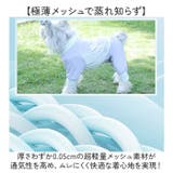ひんやりドッグウェア ペット 暑さ対策 | BACKYARD FAMILY | 詳細画像7