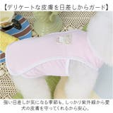 犬用クールベスト ペット ひんやり | BACKYARD FAMILY | 詳細画像5