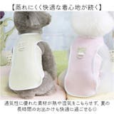 犬用クールベスト ペット ひんやり | BACKYARD FAMILY | 詳細画像6