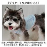 ドッグウェア ペット 暑さ対策 | BACKYARD FAMILY | 詳細画像4