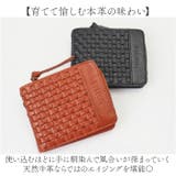 toleur 細メッシュフタツオリウォレット | BACKYARD FAMILY | 詳細画像7 