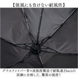 Wpc.SiNCA TINY50 | BACKYARD FAMILY | 詳細画像6 